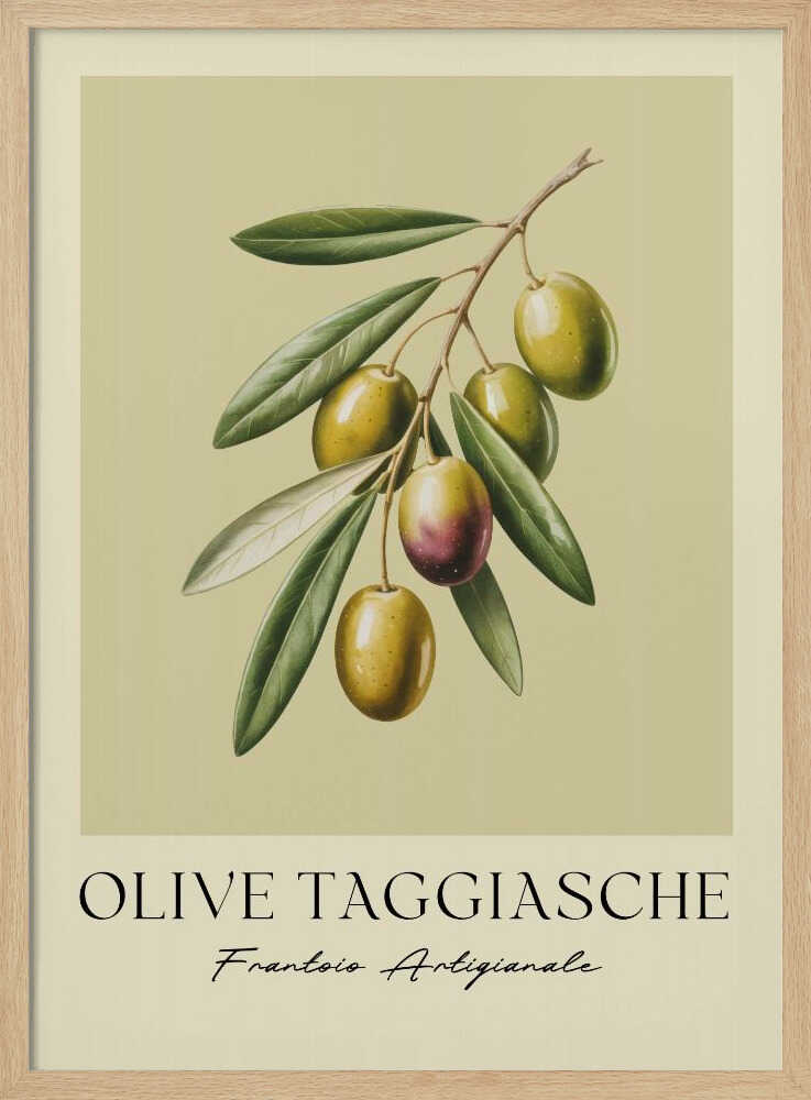 Olive Taggiasche - Poster / Art Print