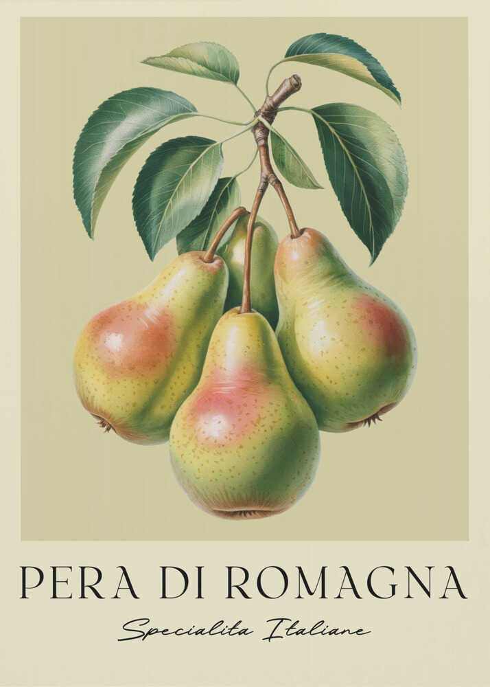 Pera Di Romagna - Poster / Art Print