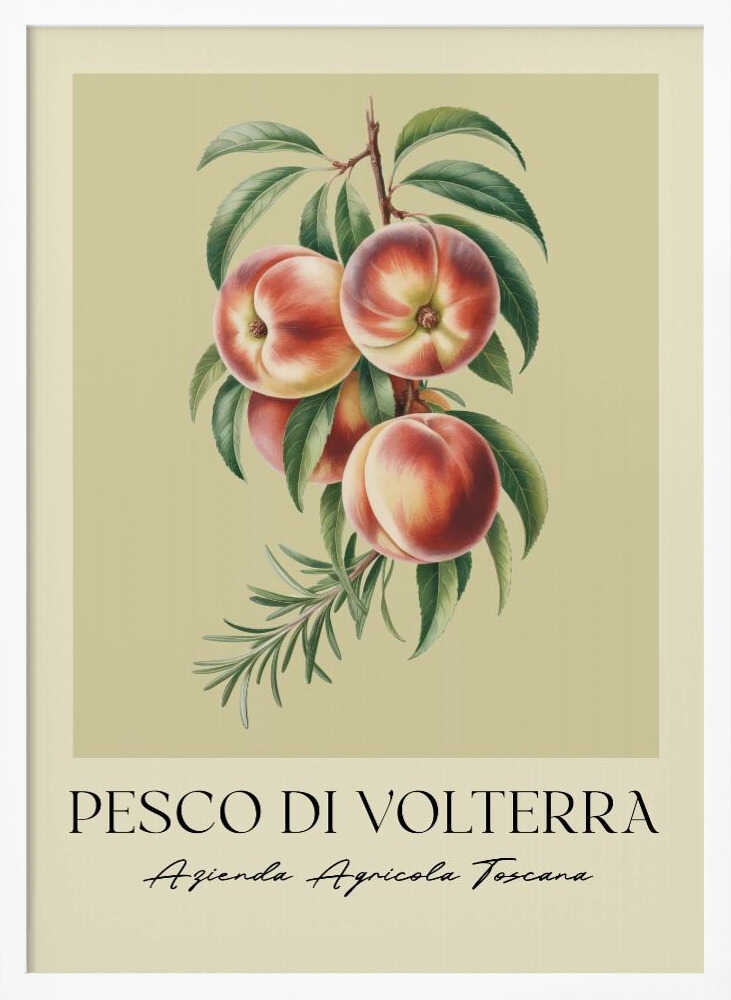 Pesco Di Volterra - Poster / Art Print