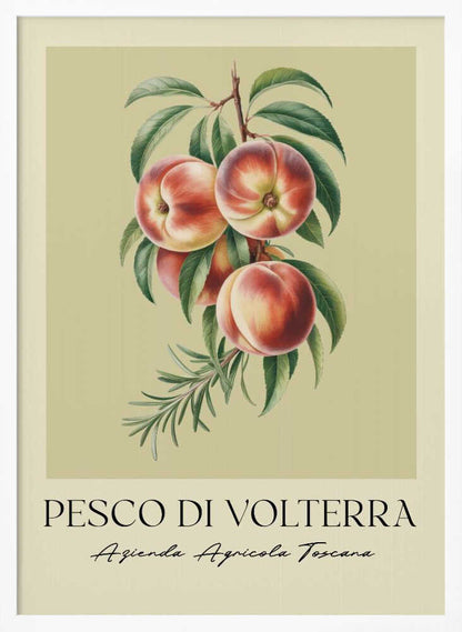Pesco Di Volterra - Poster / Art Print