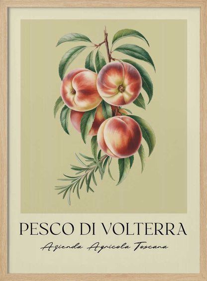 Pesco Di Volterra - Poster / Art Print
