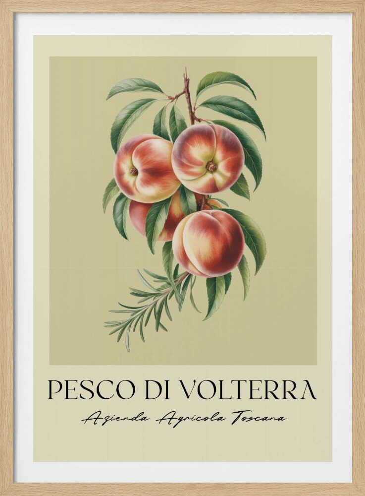 Pesco Di Volterra - Poster / Art Print