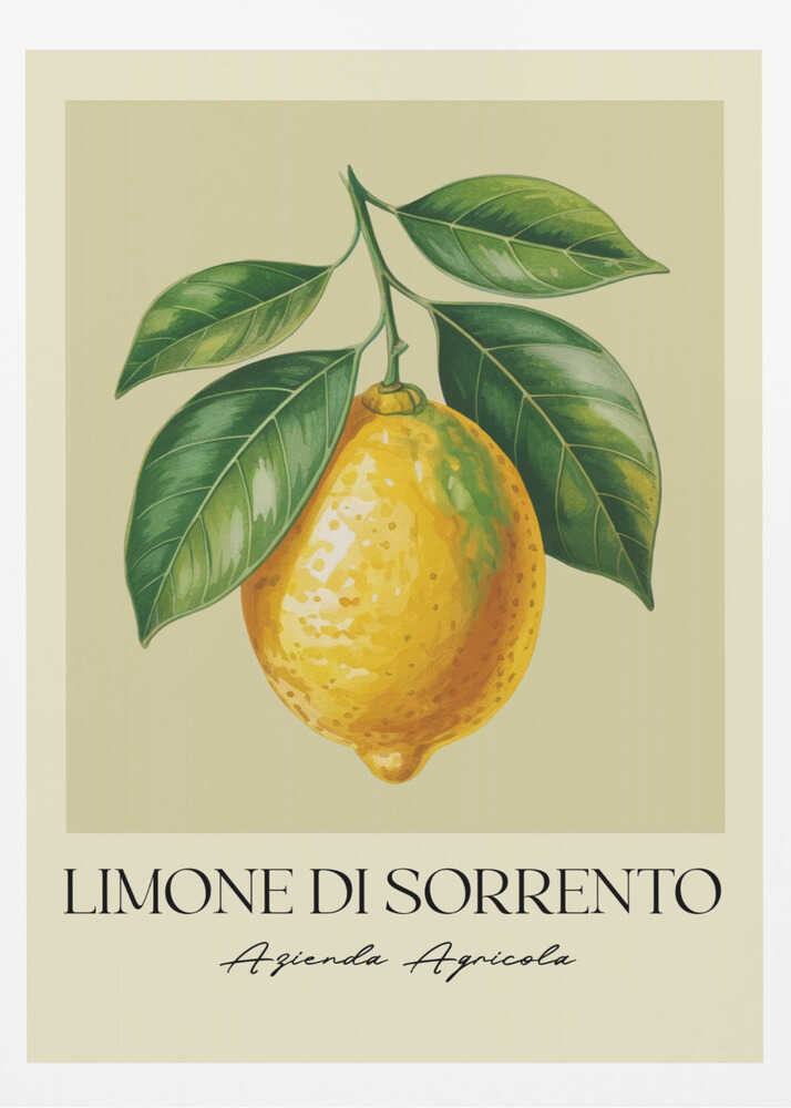 Limone Di Sorrento - Poster / Art Print