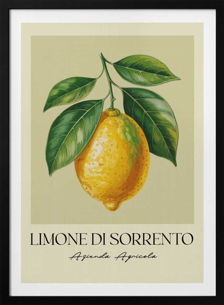 Limone Di Sorrento - Poster / Art Print