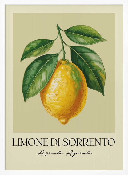 Limone Di Sorrento - Poster / Art Print