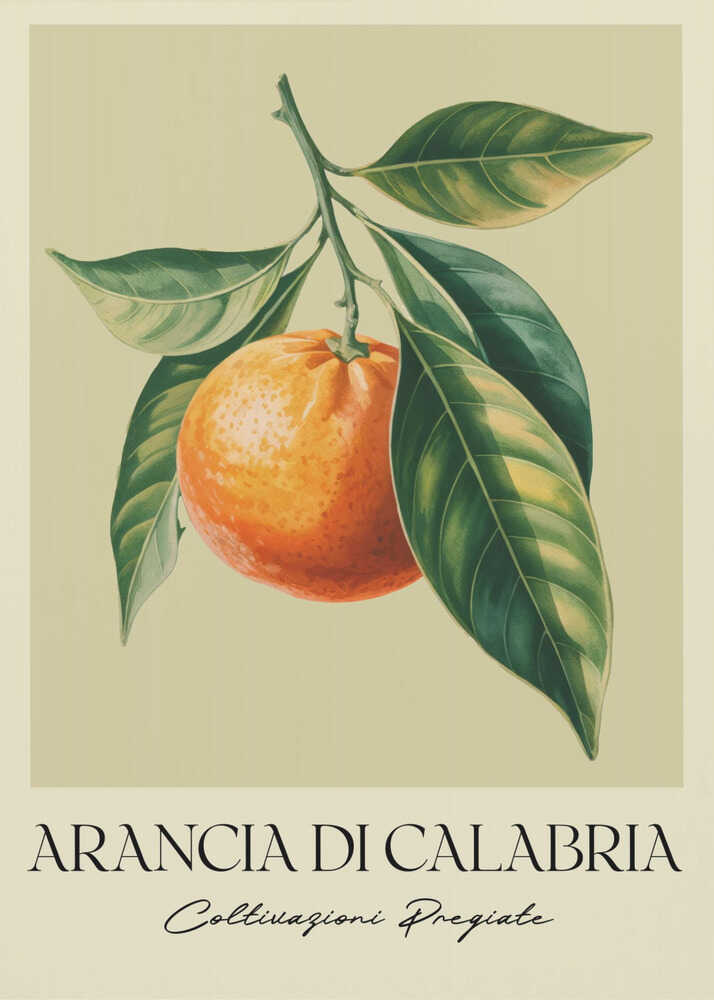 Arancia Di Calabria - Poster / Art Print