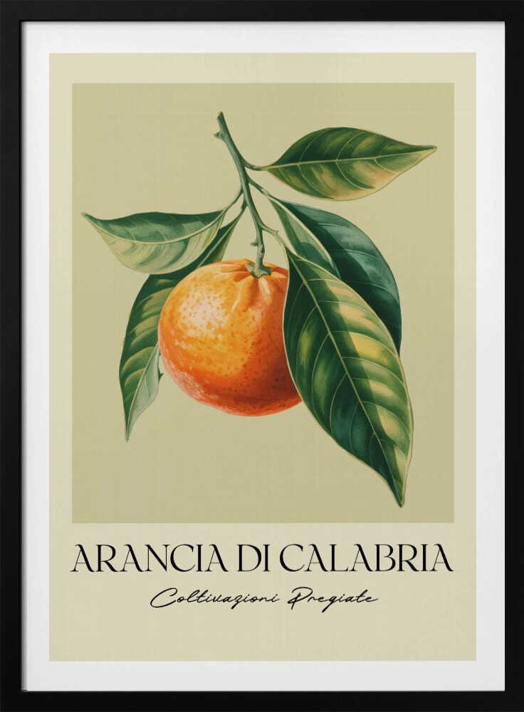 Arancia Di Calabria - Poster / Art Print