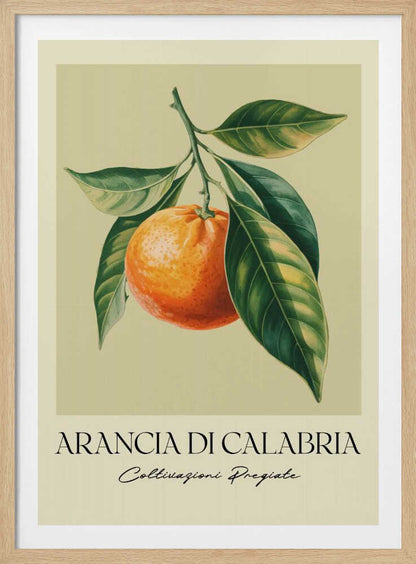 Arancia Di Calabria - Poster / Art Print