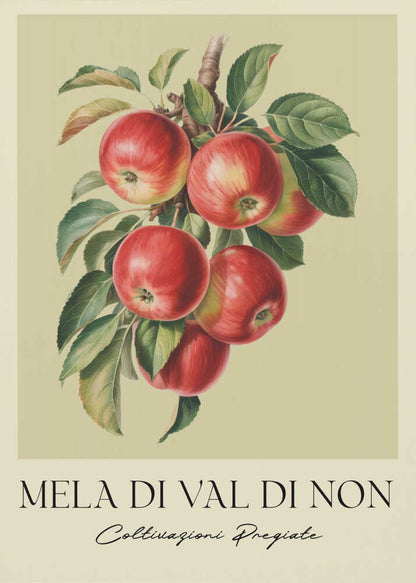 Mela Di Val Di Non - Poster / Art Print