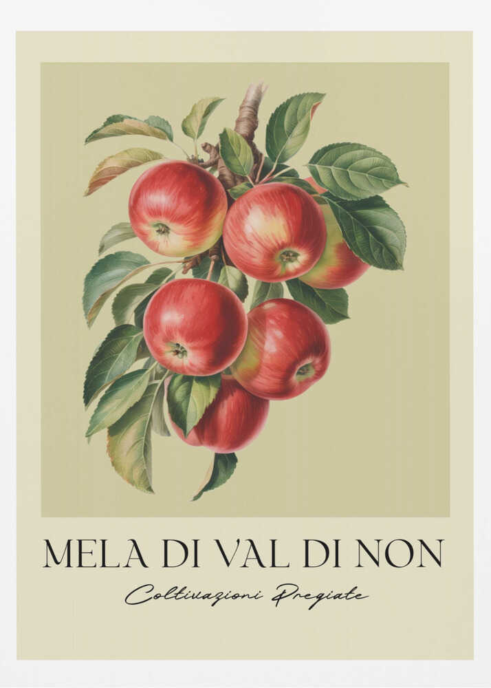 Mela Di Val Di Non - Poster / Art Print