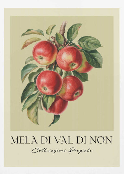 Mela Di Val Di Non - Poster / Art Print