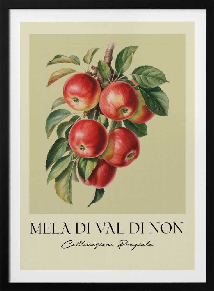 Mela Di Val Di Non - Poster / Art Print