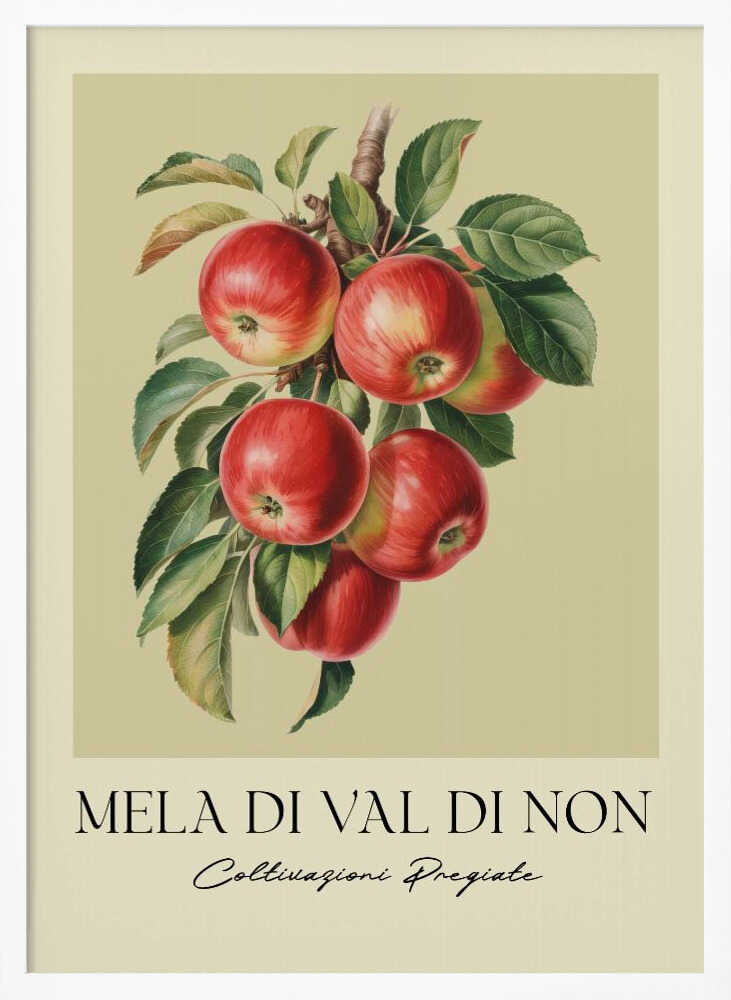 Mela Di Val Di Non - Poster / Art Print
