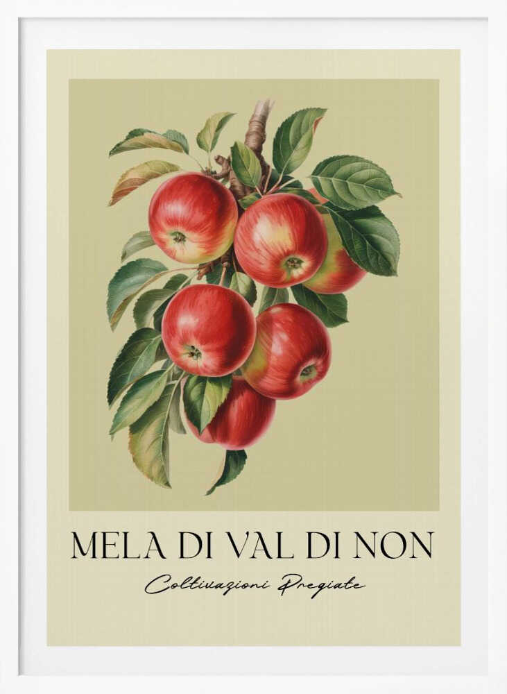 Mela Di Val Di Non - Poster / Art Print