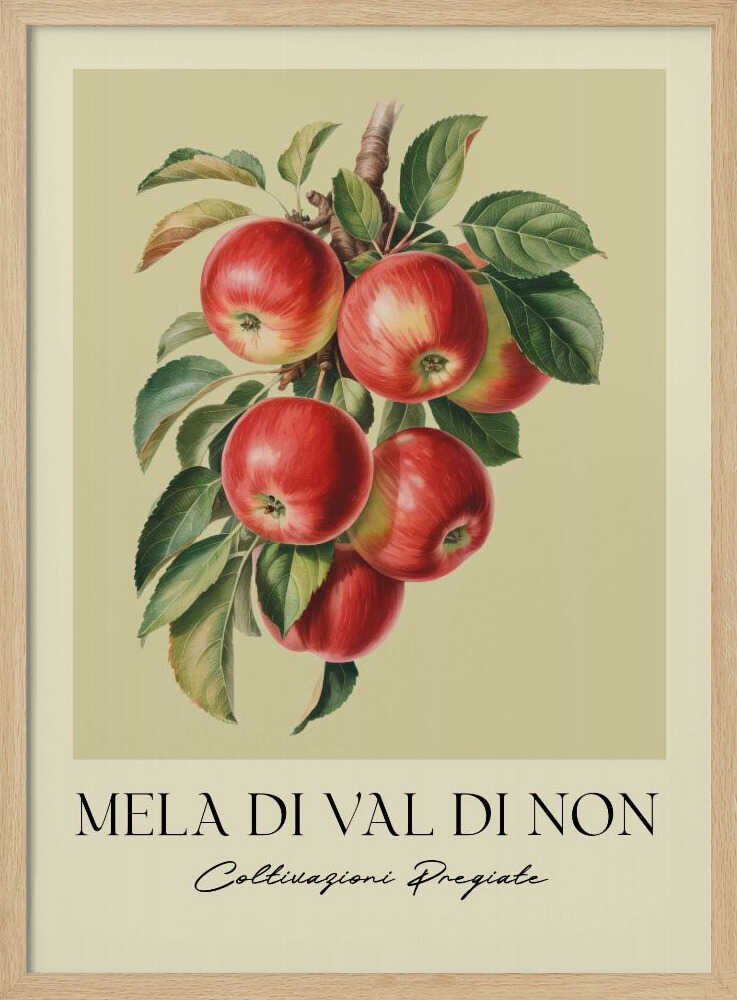 Mela Di Val Di Non - Poster / Art Print