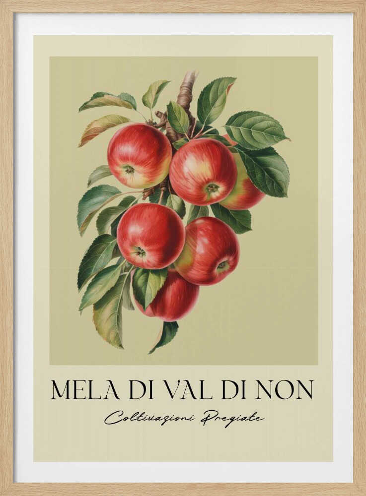 Mela Di Val Di Non - Poster / Art Print