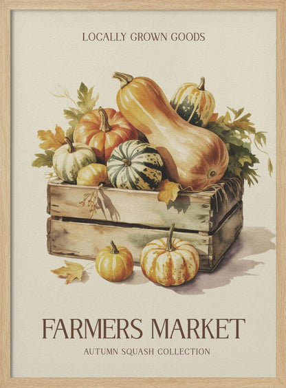 Farmers Market Squash - Poster / Art Print