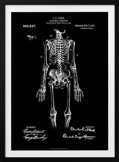 Anatomical Skeleton Patent 1911 - Poster / Art Print