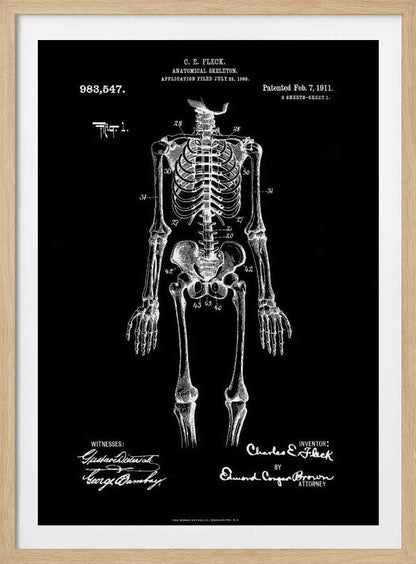 Anatomical Skeleton Patent 1911 - Poster / Art Print