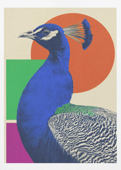 The Peacock - Poster / Art Print