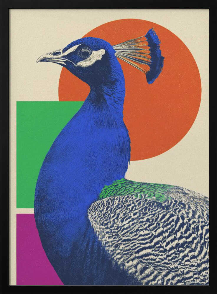 The Peacock - Poster / Art Print