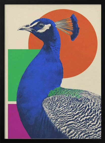 The Peacock - Poster / Art Print