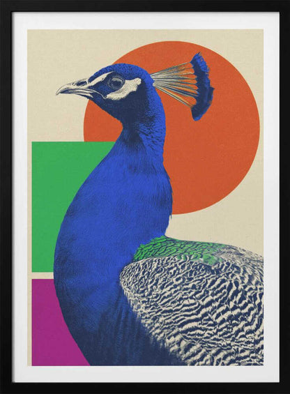 The Peacock - Poster / Art Print