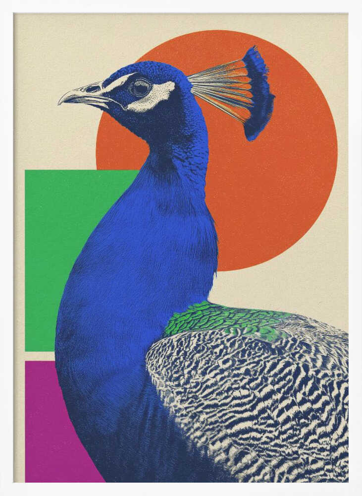 The Peacock - Poster / Art Print