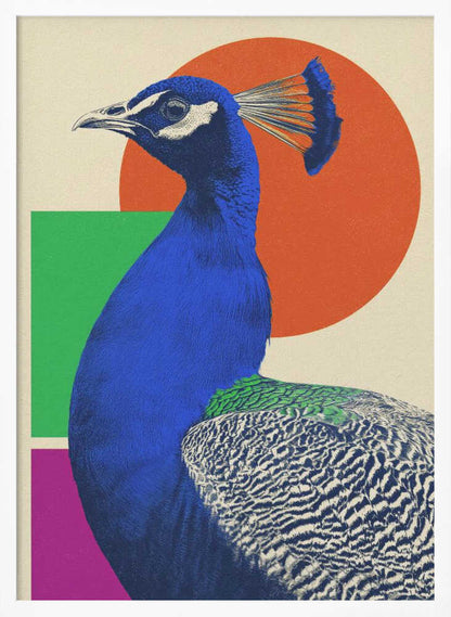The Peacock - Poster / Art Print