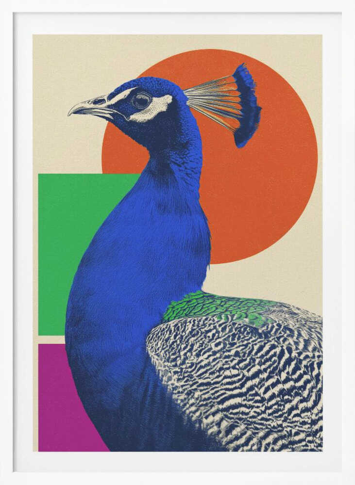 The Peacock - Poster / Art Print