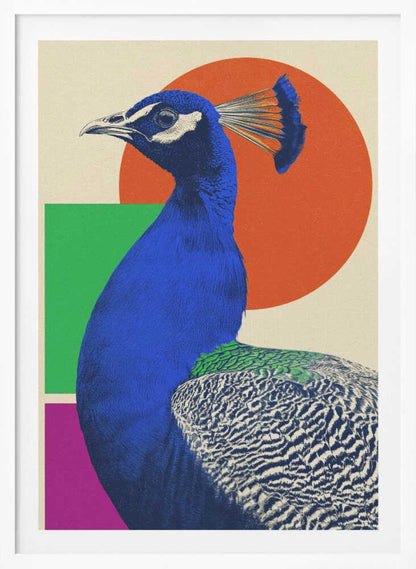 The Peacock - Poster / Art Print