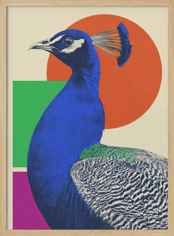 The Peacock - Poster / Art Print