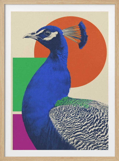 The Peacock - Poster / Art Print