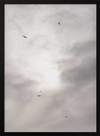 Silhouettes of birds flying across a bright, cloudy sky.