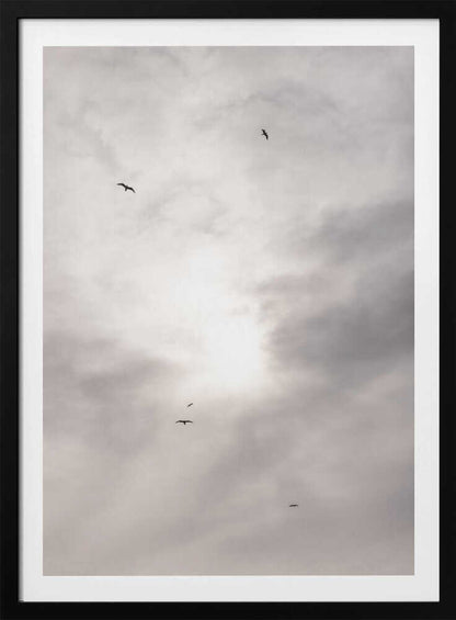 Silhouettes of birds flying across a bright, cloudy sky.