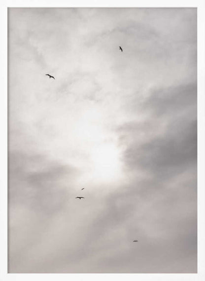 Silhouettes of birds flying across a bright, cloudy sky.