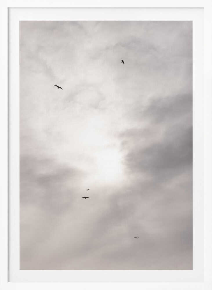 Silhouettes of birds flying across a bright, cloudy sky.