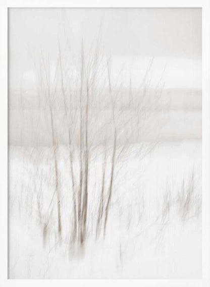 Abstract photo of bare trees in a misty, white winter landscape.