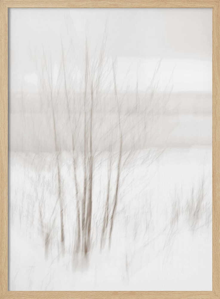 Abstract photo of bare trees in a misty, white winter landscape.