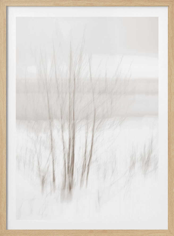 Abstract photo of bare trees in a misty, white winter landscape.