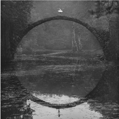 Ring - Poster / Art Print
