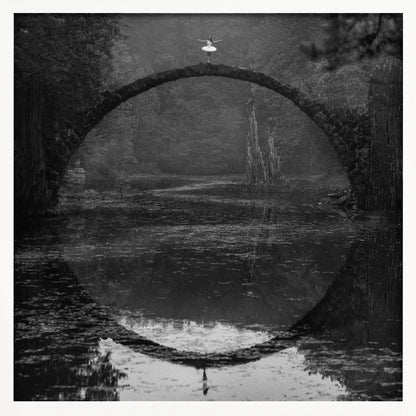 Ring - Poster / Art Print