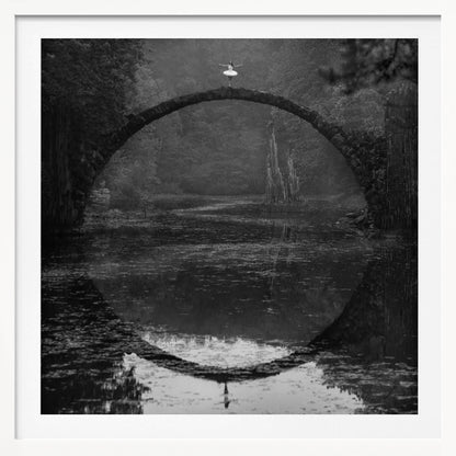 Ring - Poster / Art Print
