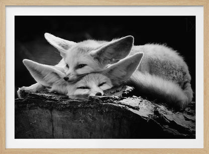 The happy couple - Poster / Art Print