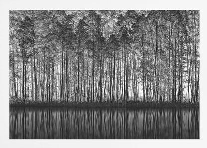 Pointillism Nature - Poster / Art Print