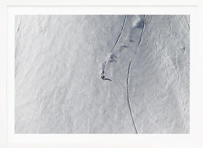 Lines - Poster / Art Print