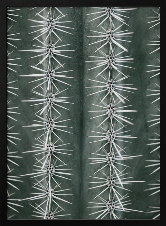 Cactus green - Poster / Art Print