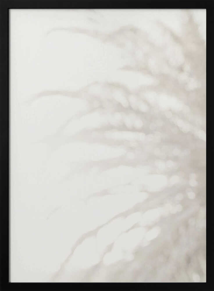 Soft focus photograph of a plant shadow on a light wall. Abstract and calming beige wall art with a minimalist feel.