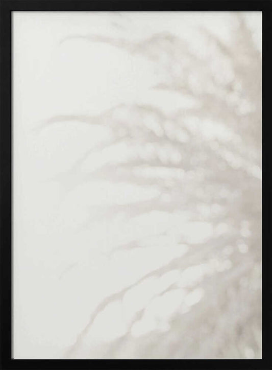 Soft focus photograph of a plant shadow on a light wall. Abstract and calming beige wall art with a minimalist feel.