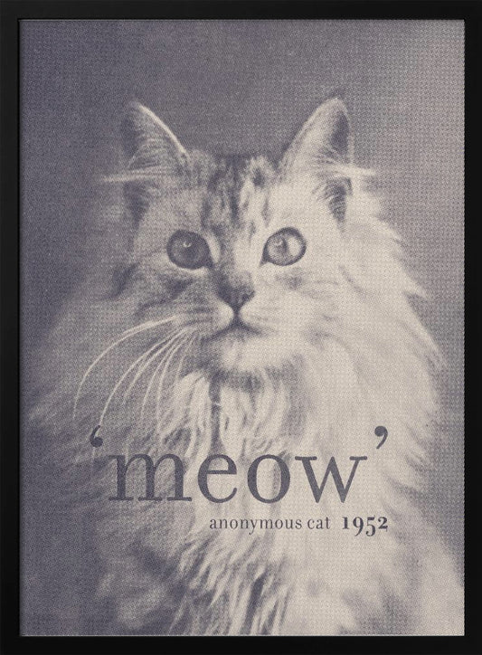 Famous Quote Cat - Poster / Art Print